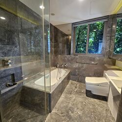 Cairnhill Nine (D9), Apartment #470788451